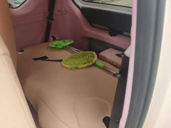 Wuling Hongguang MINIEV 2022 Macaron Premium Edition LFP - ფოტო 13