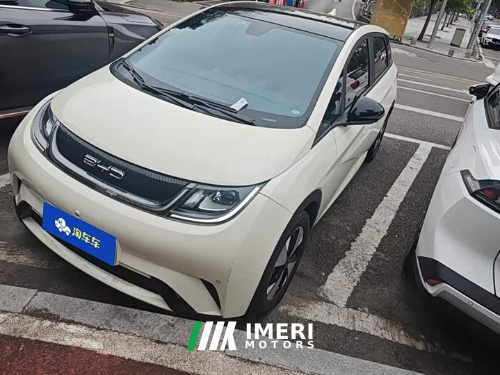BYD Dolphin 420km Fashion Edition - ავტომობილი ჩინეთიდან