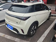 BYD Dolphin 420km Fashion Edition - ფოტო 3