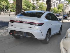 BYD Destroyer 05 Glory Edition DM-i 55KM Luxury - ფოტო 6