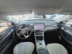 BYD Destroyer 05 Glory Edition DM-i 55KM Luxury - ფოტო 8