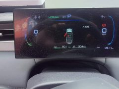 BYD Qin PLUS 2025 DM-i Smart Drive 128KM Entry-Level - ფოტო 14