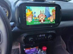 BYD Clever 311km Vitality Pop Edition - ფოტო 13