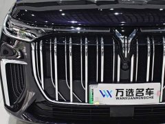 Voyah Dream PHEV Extended Range Luxury Edition - ფოტო 3