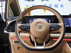 Voyah Dream PHEV Extended Range Luxury Edition - ფოტო 5