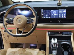 Voyah Dream PHEV Extended Range Luxury Edition - ფოტო 9