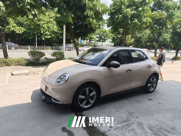 ORA Good Cat 401km Standard Range Luxury Trim Ternary Lithium Battery