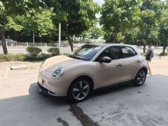 ORA Good Cat 401km Standard Range Luxury Trim Ternary Lithium Battery - ფოტო 1