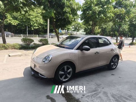 2023 ORA Good Cat 401km Standard Range Luxury Trim Ternary Lithium Battery - ავტომობილი ჩინეთიდან