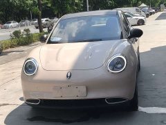 ORA Good Cat 401km Standard Range Luxury Trim Ternary Lithium Battery - ფოტო 2