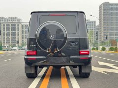 Mercedes-Benz G-Class G 350 - ფოტო 6