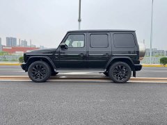 Mercedes-Benz G-Class G 350 - ფოტო 8
