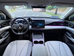 BYD Dolphin 06 DM-i Ultra Comfort 128KM Smart Edition - ფოტო 10