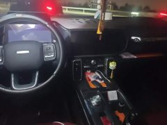 Great Wall Dachshund 1.5T DCT Two-Wheel Drive Labrador Edition - ფოტო 12