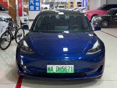 Tesla Model 3 Standard Range RWD Upgrade - ფოტო 1