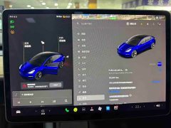Tesla Model 3 Standard Range RWD Upgrade - ფოტო 6