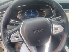 Changan Oushan X7 1.5T Automatic Deluxe - ფოტო 15