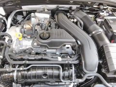 Volkswagen Sagitar 300TSI DSG Excellence Edition - ფოტო 4
