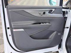 Buick GL8 Luzun Respect Edition - ფოტო 10