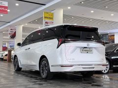 Buick GL8 Luzun Respect Edition - ფოტო 4