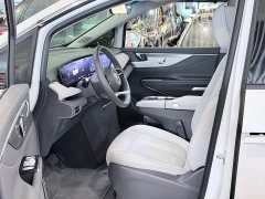 Buick GL8 Luzun Respect Edition - ფოტო 6