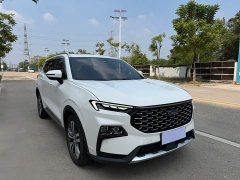 Ford Lingrui EcoBoost 170 Premium - ფოტო 3