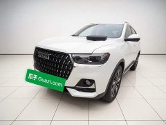 Haval H6 2023 National Trend Edition 1.5T Automatic Champion Version - ფოტო 1