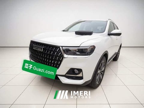 2024 Haval H6 2023 National Trend Edition 1.5T Automatic Champion Version - ავტომობილი ჩინეთიდან
