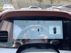 BYD Dolphin 07 DM-i 2026 DM-i 1.5T 230km Flagship - ფოტო 12