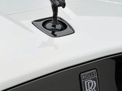 Rolls-Royce Cullinan 2025 Black Badge - ფოტო 9