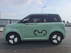 Changan Lumin 210km Sweet Edition - ფოტო 7