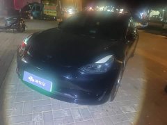 Tesla Model 3 Standard Range RWD Upgrade 3D6 - ფოტო 1