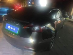 Tesla Model 3 Standard Range RWD Upgrade 3D6 - ფოტო 3