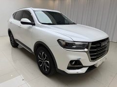 Haval H6 2021 Guochao Edition 1.5T Automatic Urban Edition - ფოტო 3