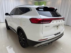 Haval H6 2021 Guochao Edition 1.5T Automatic Urban Edition - ფოტო 6