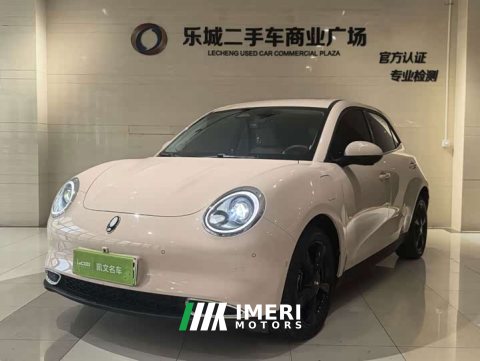 2024 ORA Good Cat 401km Deluxe 126kW - ავტომობილი ჩინეთიდან