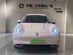 ORA Good Cat 401km Deluxe 126kW - ფოტო 2