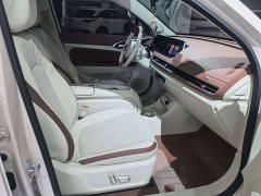 ORA Good Cat 401km Deluxe 126kW - ფოტო 5