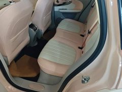 Ora Ballet Cat 2023 401km Deluxe - ფოტო 11