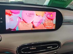 Ora Ballet Cat 2023 401km Deluxe - ფოტო 13