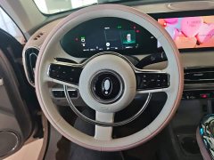 Ora Ballet Cat 2023 401km Deluxe - ფოტო 15