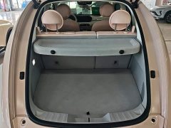 Ora Ballet Cat 2023 401km Deluxe - ფოტო 4