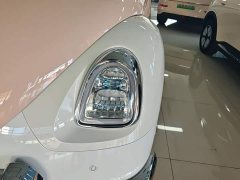 Ora Ballet Cat 2023 401km Deluxe - ფოტო 5