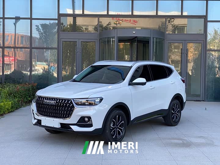 Haval H6 2023 National Trend Edition 1.5T Automatic Urban Version - ავტომობილი ჩინეთიდან
