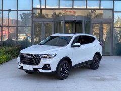 Haval H6 2023 National Trend Edition 1.5T Automatic Urban Version - ფოტო 1