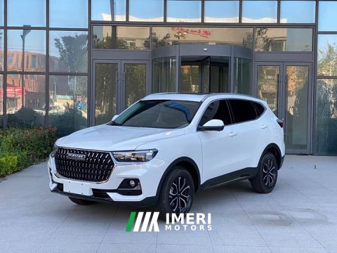2025 Haval H6 2023 National Trend Edition 1.5T Automatic Urban Version - ავტომობილი ჩინეთიდან