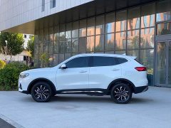 Haval H6 2023 National Trend Edition 1.5T Automatic Urban Version - ფოტო 8