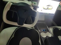 Tesla Model 3 2022 Rear-Wheel Drive - ფოტო 13
