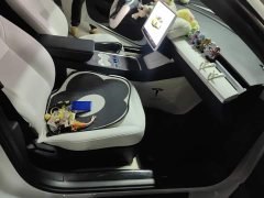 Tesla Model 3 2022 Rear-Wheel Drive - ფოტო 8
