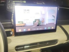 Dongfeng Nanotech 01 430 Air - ფოტო 13